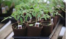 Printers Blank Labels